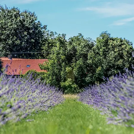 Azienda Agricola La Macina * Bregnano